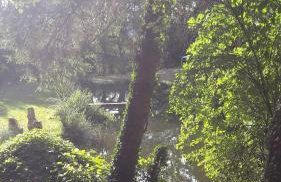 Im Baumhaus - Foto 10