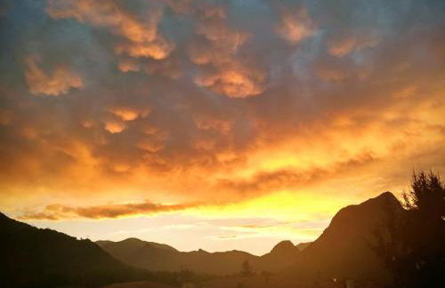 Le Nopal Bleu - Foto 31