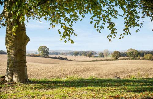 GUT KLETKAMP "Finkenhaus" - Idyllisch freistehendes Landhaus mit 3 Schlafzimmern und fantastischem Ausblick I 8 Personen I Offener Kamin I Garten I Wintergarten I Große Terrasse I Ruhig am Waldrand I Parkplätze I WLAN - Foto 41