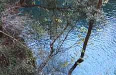 Le Logis des Templiers appartement climatisé - Foto 58