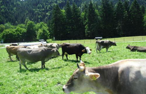 Casa Patrizia - Foto 11