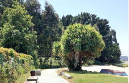 Costa Monte Blanco Cabana - Foto 17