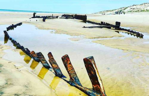 Pavilllon au calme à Lacanau Ocean, L'aubarède - Foto 9