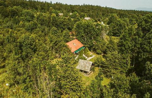 5 Bedroom Cozy Home In Sertic Poljana - Foto 11