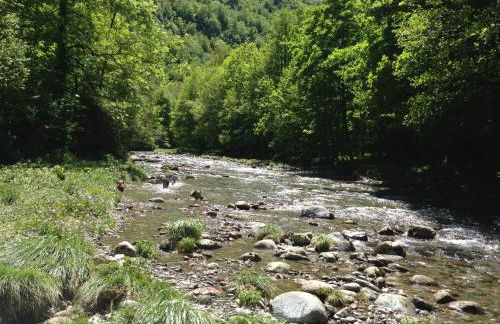Les Bordes De Paloumières - Foto 74