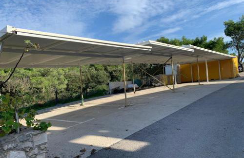 Stela Apartments - Foto 66