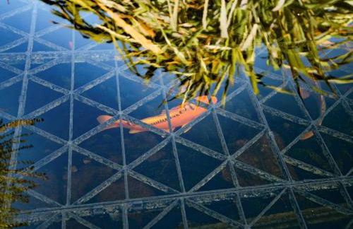 Danehurst Cottage - Foto 33