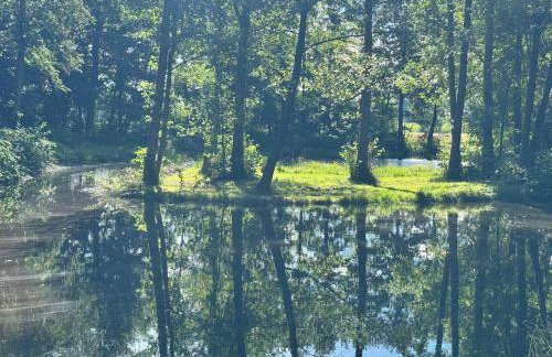 Krzywiec - Pasieka na Szlaku Kopernika - Foto 7