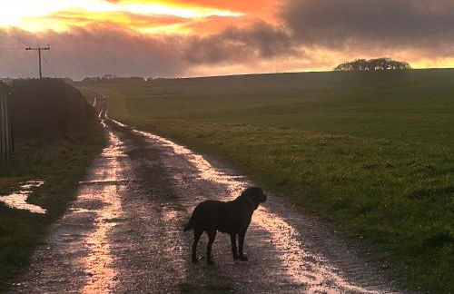 Keepers Cottage - Photo 39