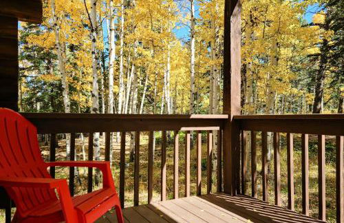 Pikes Peak Retreat - Foto 45