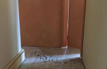 Haus der erwachenden Erde - Foto 13