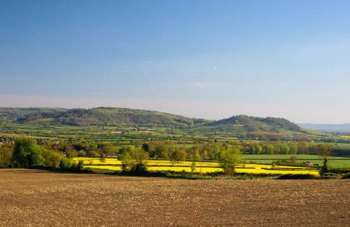 Mulberry Cottage - Photo 7