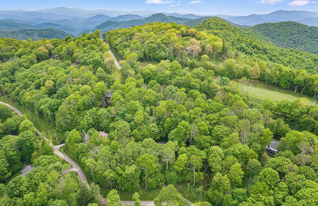 Deck w/ Forest Views, Ping Pong Blue Ridge Mtn Escape Ash Vale by Avantstay - Foto 39