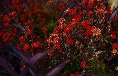 Casa Bella Tiradentes - Photo 36