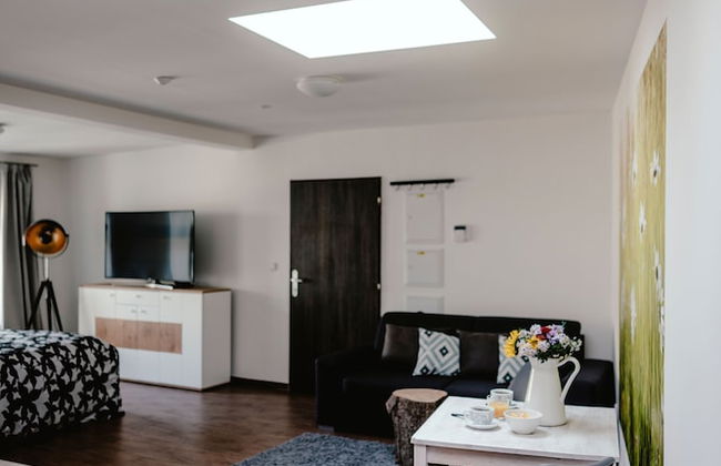 Apartments Zelny Trh III - Foto 19