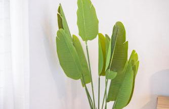 Lux 3 bedroom townhouse 1 block from the beach - Photo 31