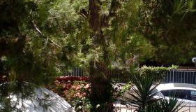 Villetta Il Pino - Foto 4