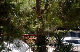 Villetta Il Pino - Foto 4