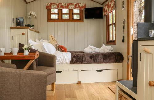 Little Silver Owl - Foto 13