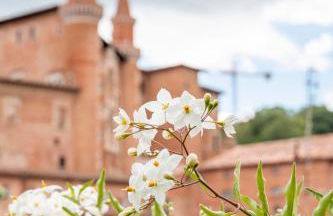 Urbino Apartment - Torricini View - Foto 24