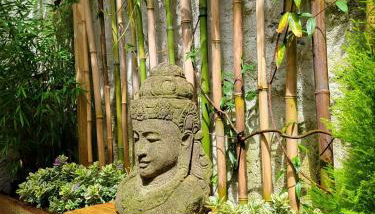 Le Patio - Appartement calme - Hyper centre Pau - Foto 2, Garden