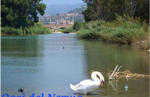 Casetta Panorama con vista mare - Photo 39