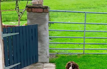 Molehill lodge - Foto 23