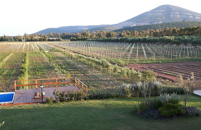 Agriturismo Casale degli Ulivi - Foto 28