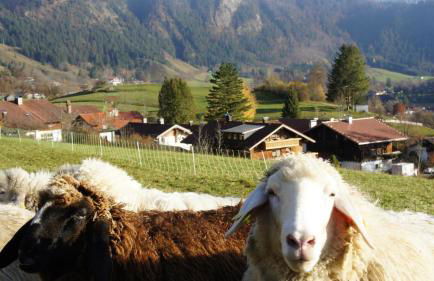 Ferienwohnung Brunnäcker - Foto 10