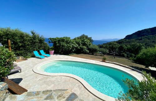 Bella Vita Brando - Foto 3