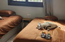 Casa gioia - Foto 13