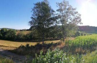 Ferienwohnung mit Charme - Foto 13