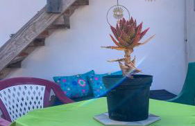 La Finca de Los Padres - Foto 20