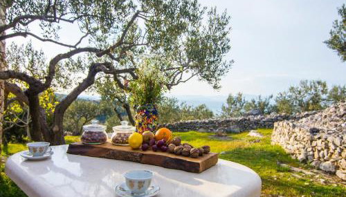 Villa Roza - Foto 3, Garden