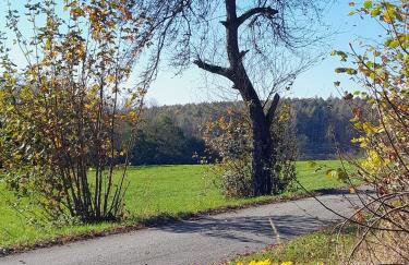 Fewo Waldtherme Relaxen, wandern, Radfahren - Foto 44