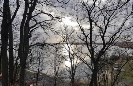 Domki Zalesie - Foto 12