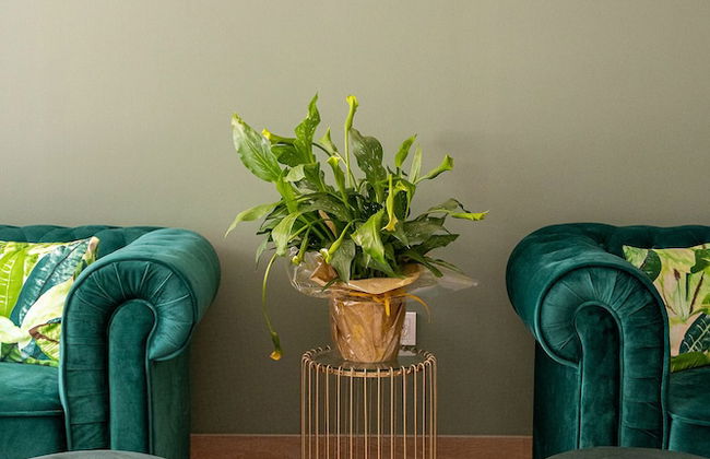 Caleyro Boutique Apartments - Parking incluido - Photo 4