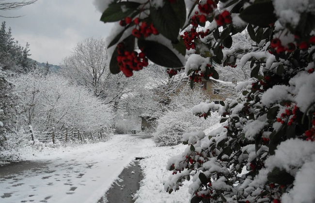 Casa Rural Goikola - Foto 27