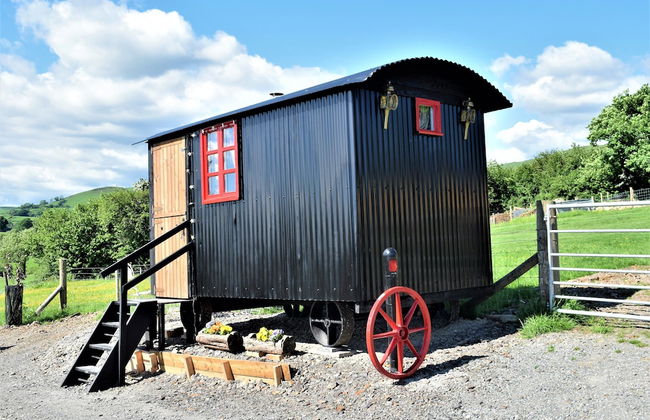 Meadow Shepherds hut - Photo 19