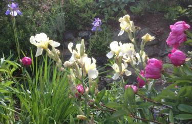 Haus Schnurbus - Foto 27