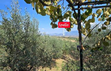 Dimora Kalipè - Foto 9