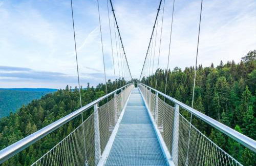 Ferienwohnung am Enzufer mit Wintergarten Bad Wildbad im Schwarzwald - Foto 34