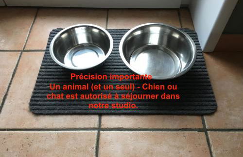 Brise de mer sur la naturelle, Studio à Wimereux , parking - Foto 39