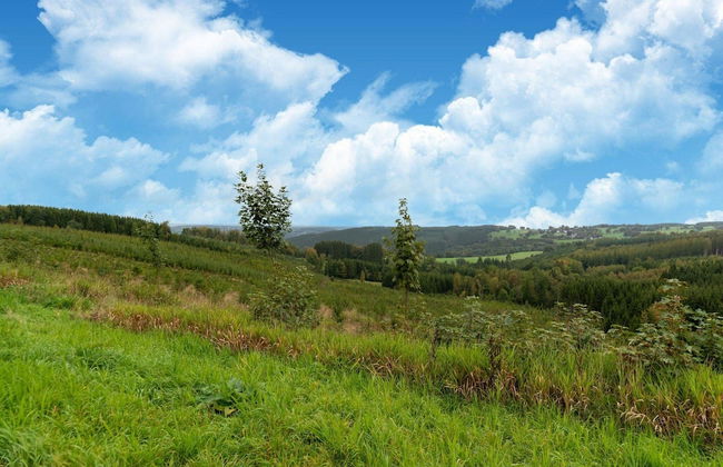 Spacious Group Stay in Wanne - Foto 39