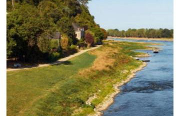 La Bellière - Photo 18