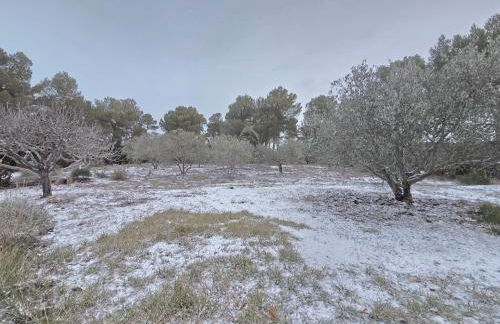 Les Oliviers Du Lac - Foto 35