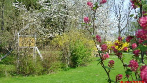 Heidtschmidhof Abendsonne - Foto 2