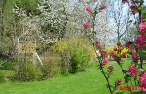 Heidtschmidhof Abendsonne - Foto 2