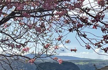 Dumbarton With A View - Foto 25