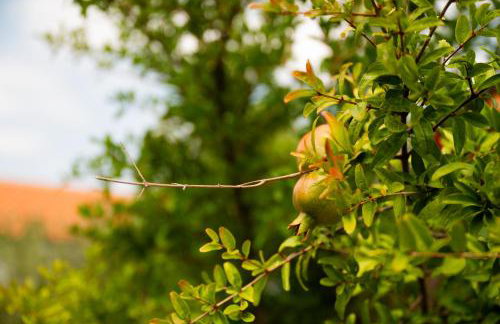 Villa Bistre - Foto 58